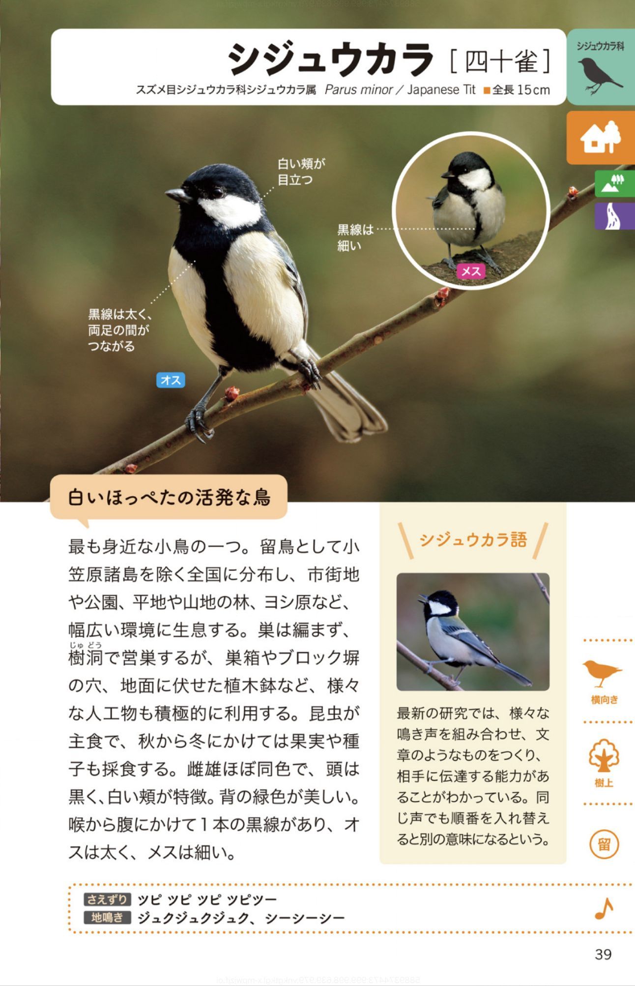 ホヤの春_c0025115_22264668.jpg