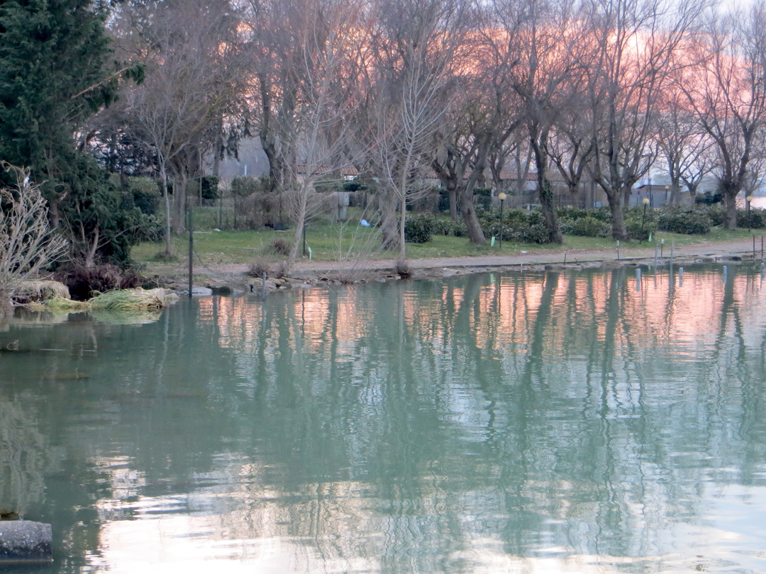 湖も恋の色カンムリカイツブリ、トラジメーノ湖_f0234936_623468.jpg