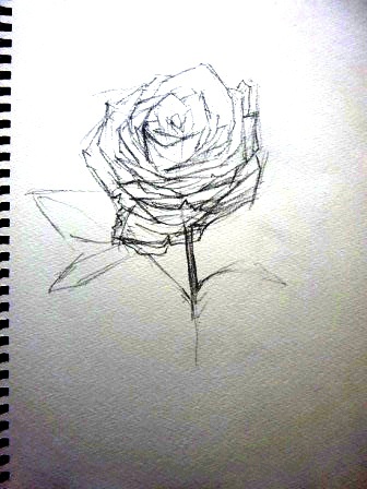おうちで水彩画 【鉛筆で薔薇を描く】 : 若狭宣子 水彩画