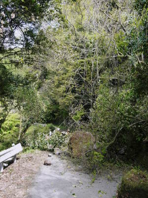 熊本地震から丸4年!あの時「こんな時だからこそ!」と頑張ってくれた農家さん達と共に歩んできました!_a0254656_17551177.jpg