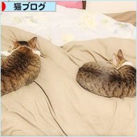 家族だもんね_a0389088_06275610.jpg