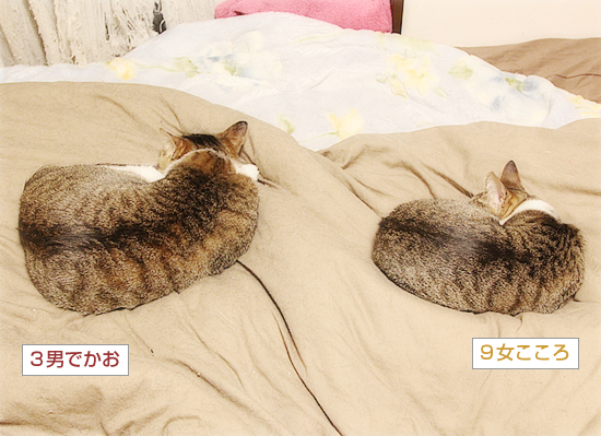 家族だもんね_a0389088_06275689.jpg