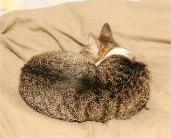 家族だもんね_a0389088_06275718.jpg