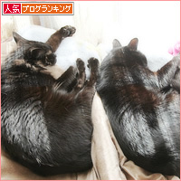 家族だもんね_a0389088_06275723.jpg