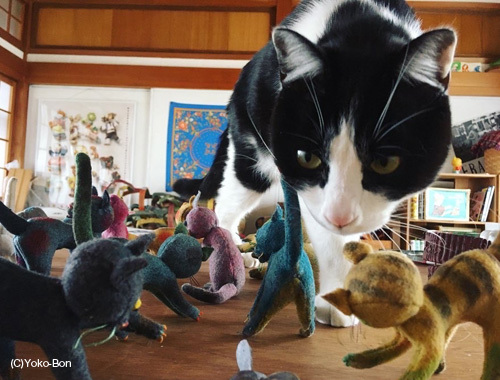 ねこ、ネコ、猫!〜離れのアトリエより〜_d0077603_10533642.jpg