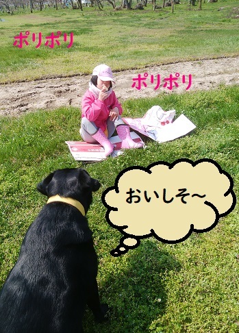 登校日がなくなりずっと休校になりました。_c0182012_13374132.jpg