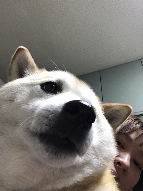 私は犬になりたい　３_e0374932_05475557.jpg