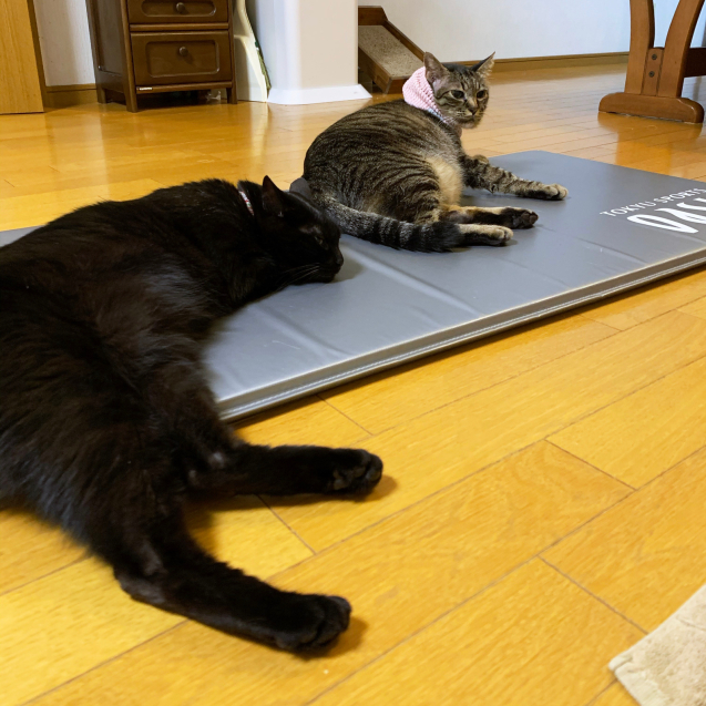 QOLの維持のために_d0355333_23411645.jpg