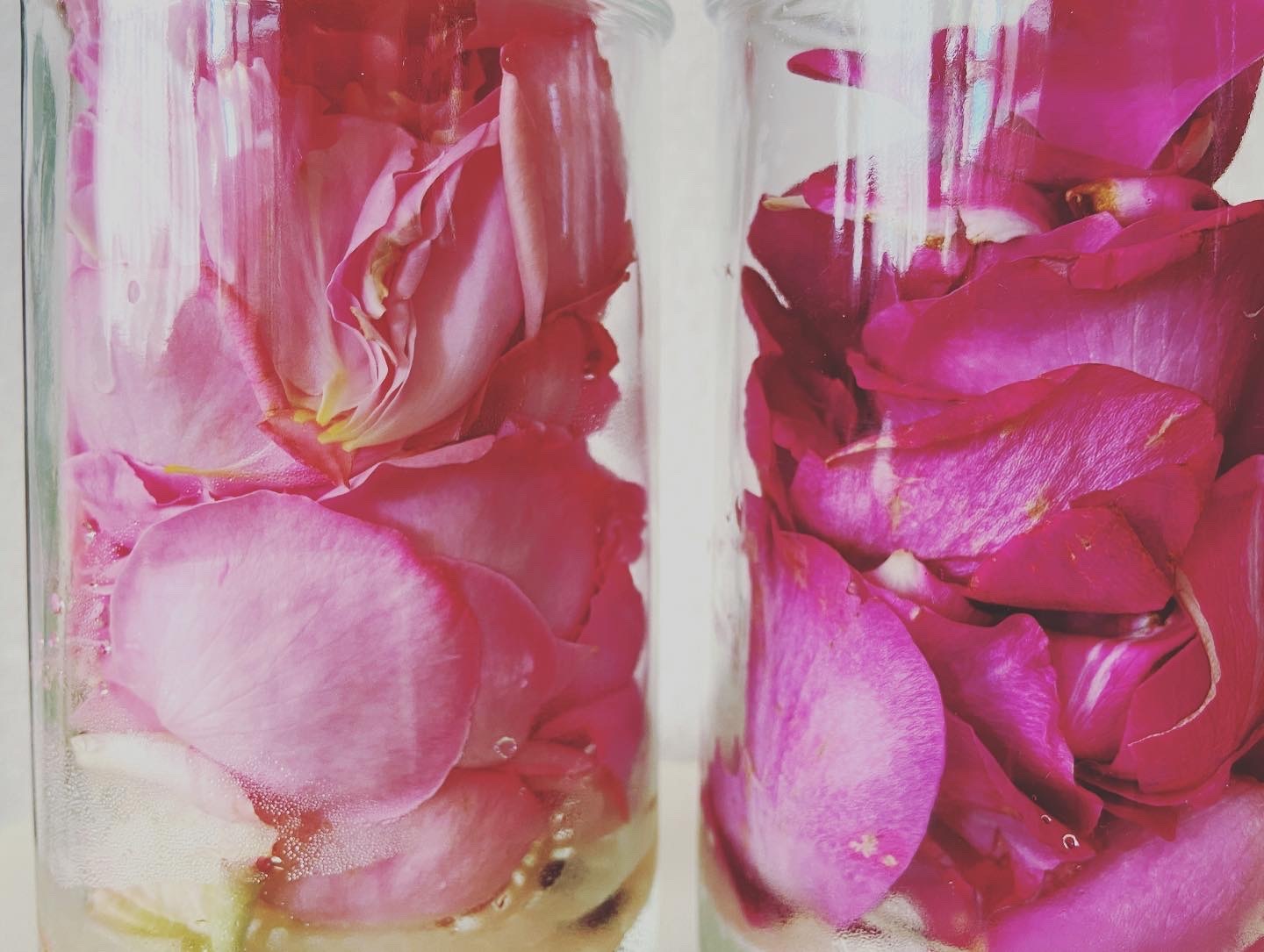 薔薇の真空減圧蒸留 簡易版_a0018237_14433678.jpeg
