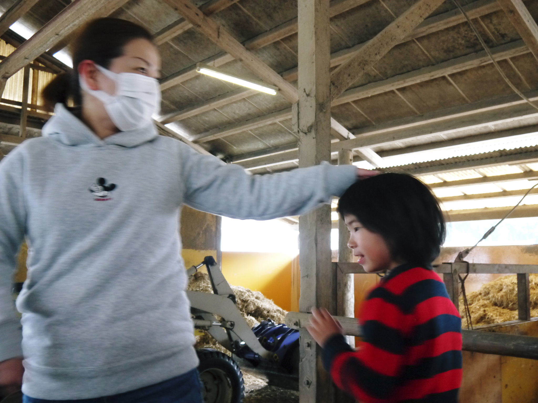 熊本県産黒毛和牛 絶品黒毛和牛を育てる「中野畜産」さんのファミリー紹介_a0254656_17414006.jpg