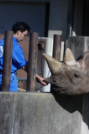 動物たちはいつも私を笑わせ癒してくれます_e0272869_15344624.jpg