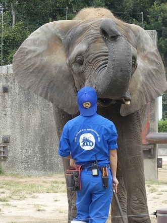 動物たちはいつも私を笑わせ癒してくれます_e0272869_15350892.jpg