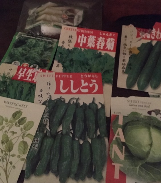 野菜を種から育てる_e0350971_13242614.jpg