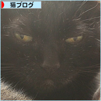 まめが遺してくれたもの_a0389088_16483691.jpg