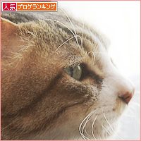 まめが遺してくれたもの_a0389088_16483692.jpg