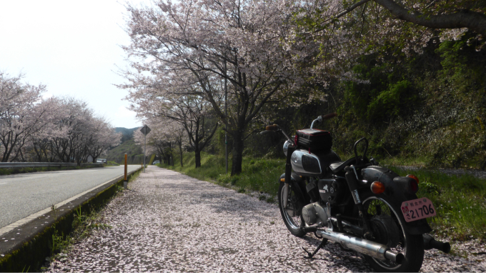 私的ブログ…スタートは洗車から…編(^^)。_d0132688_13490935.jpg