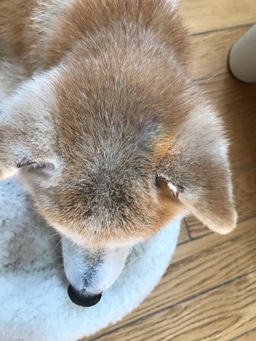癒しの虹色_f0242002_17085383.jpg
