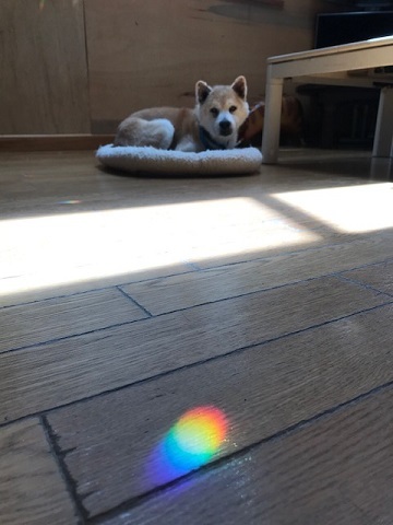 癒しの虹色_f0242002_17090010.jpg