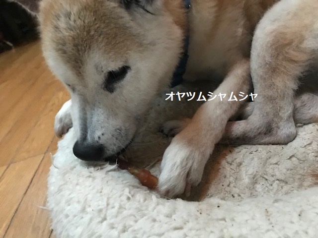 癒しの虹色_f0242002_17103365.jpg