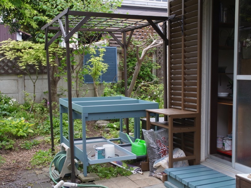 今年はヤマツツジも咲いた。_e0276411_19305052.jpg