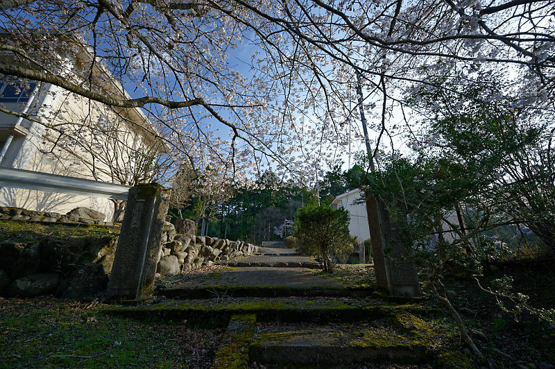 2020桜巡り@京北町 旧宇津小学校跡_f0032011_19540058.jpg