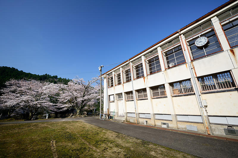 2020桜巡り@京北町 旧宇津小学校跡_f0032011_19540162.jpg