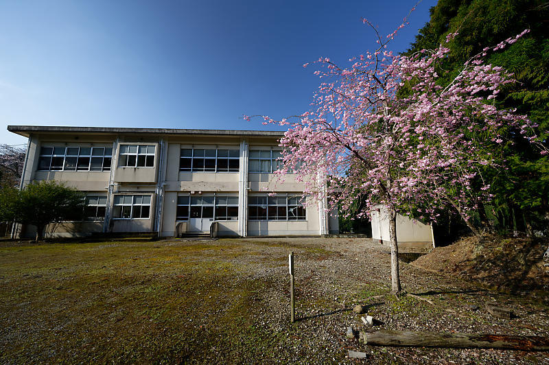 2020桜巡り@京北町 旧宇津小学校跡_f0032011_19570127.jpg