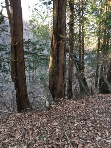 【御代田】運動不足解消のためにお散歩🐾_d0035921_17301550.jpg