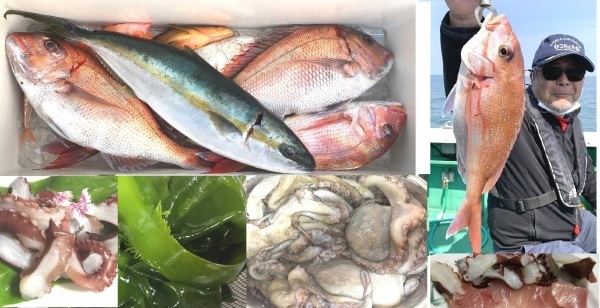 春の魚は美味しいですね 新 直哉の釣り魚料理 春の魚は美味しいですね 新 直哉の釣り魚料理