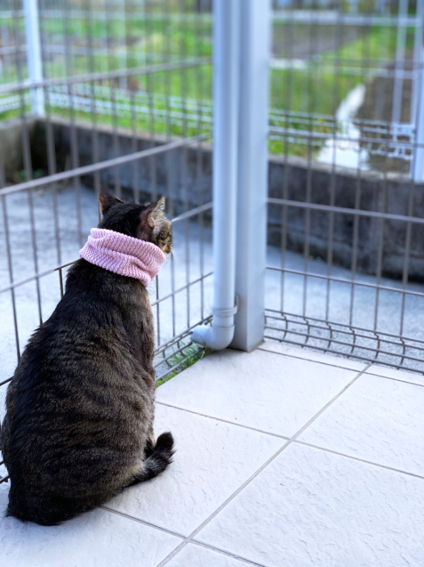 晴れたらいいね_d0355333_22342513.jpg