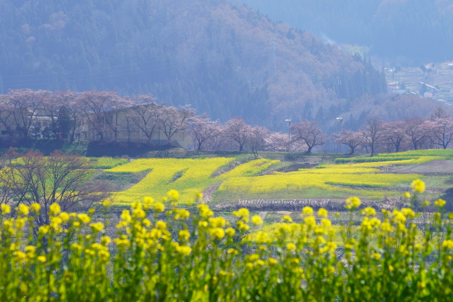 飯山市 菜の花公園 今年は閉鎖中 をぷち空撮 野沢温泉とその周辺いろいろ２