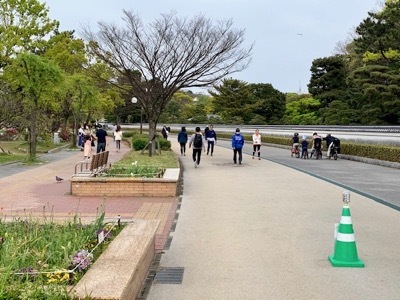 福岡市大濠公園（ファイネストピアノ福岡徒歩圏内の散歩スポット1）_c0105443_14282572.jpg