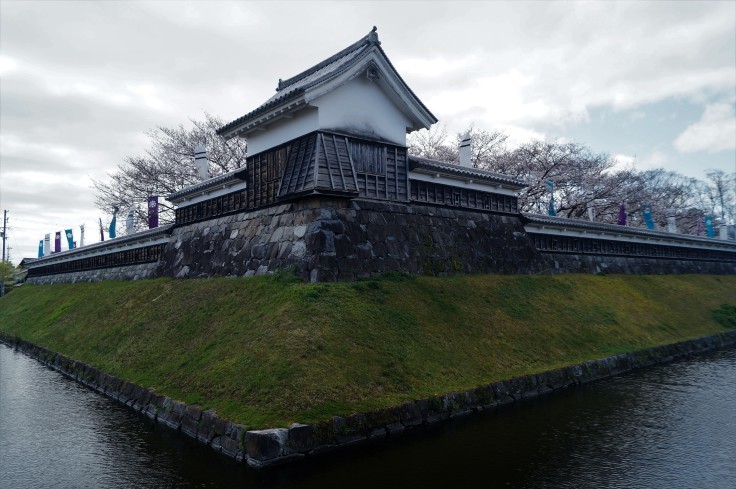 明智光秀最後の城・勝竜寺城の桜_b0063958_06435063.jpg
