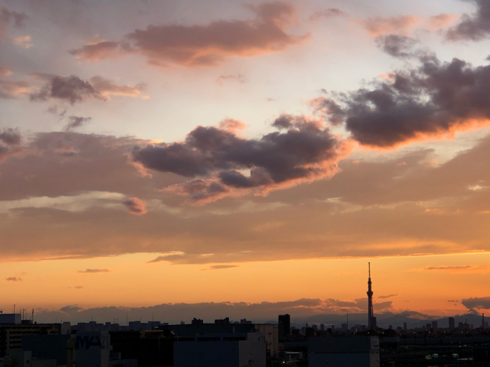 雨上がり、夕焼け空が綺麗だったー♪_d0152261_20261473.jpg