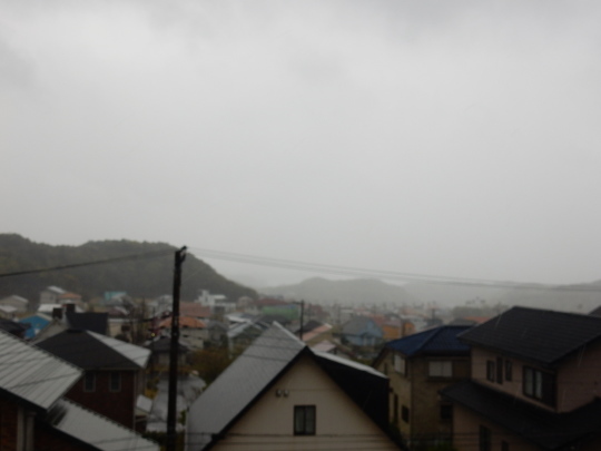 ’20,4,18(土)台風のような風雨!_f0060461_10055614.jpg