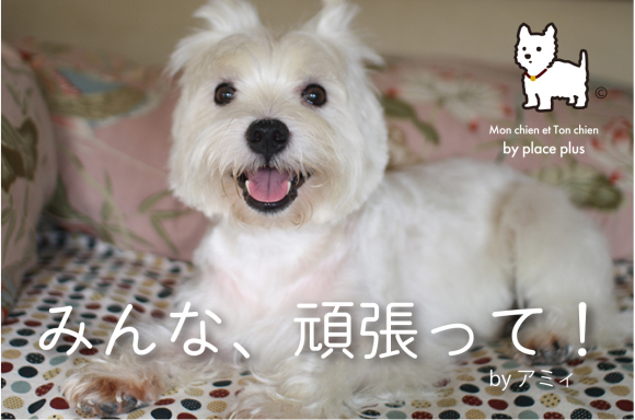 外出の回数。_b0107163_11261660.jpg