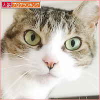 こころのサービス_a0389088_17053511.jpg