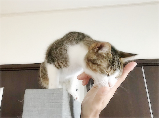 こころのサービス_a0389088_17053517.jpg