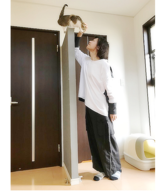 こころのサービス_a0389088_17053550.jpg