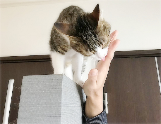 こころのサービス_a0389088_17053575.jpg