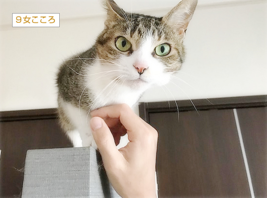こころのサービス_a0389088_17053591.jpg
