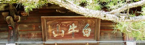 79番天皇寺から81番白峰寺まで_f0213825_08471949.jpg