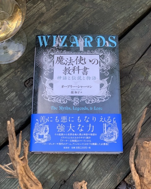 魔法使いの教科書_e0404027_16330346.jpeg