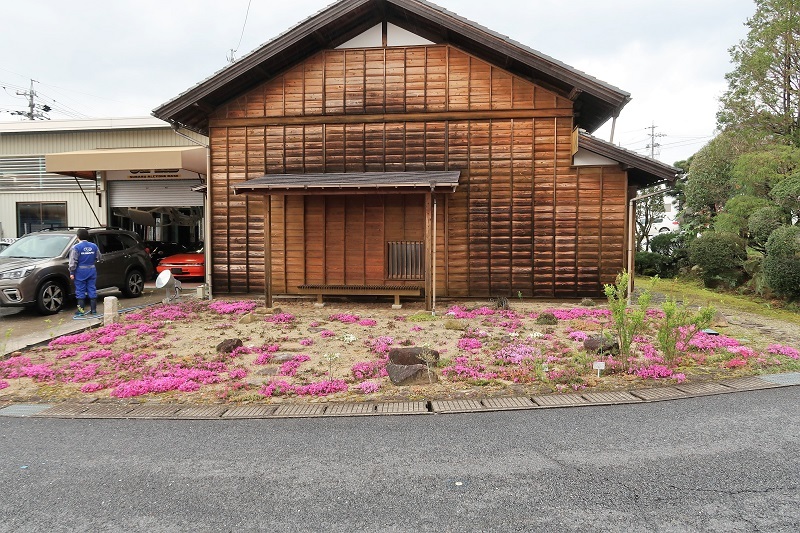 タラの芽のシーズン_f0076731_21092493.jpg