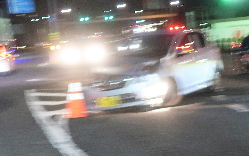 タラの芽のシーズン_f0076731_21105988.jpg