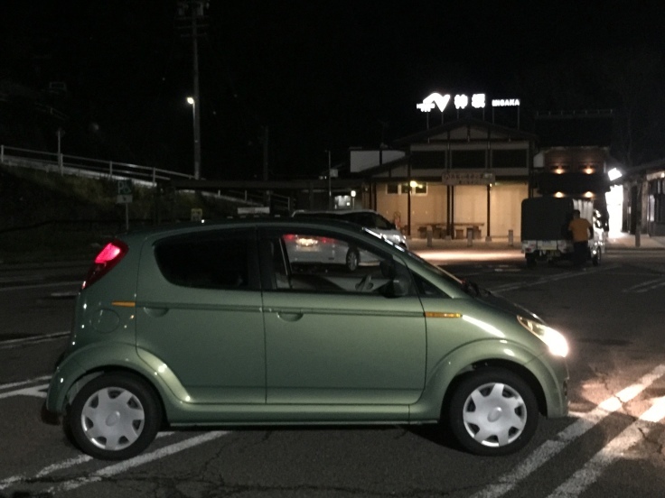 タラの芽のシーズン_f0076731_21281565.jpg