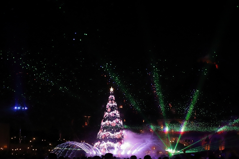 【東京ディズニーシー】 - カラー・オブ・クリスマス  -_f0348831_00091909.jpg