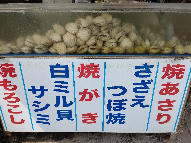 伊良湖亭の大あさり定食 渥美半島 Emily Diary