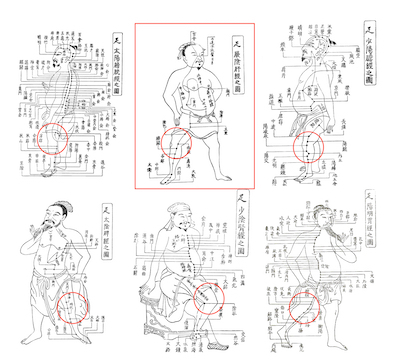 膝が痛むときには、肝臓を整えましょう 〜ある日の施術より〜_e0073240_16595066.jpg