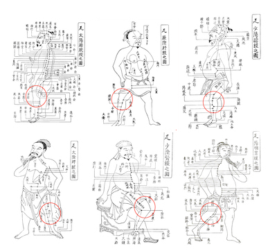 膝が痛むときには、肝臓を整えましょう 〜ある日の施術より〜_e0073240_17044307.jpg